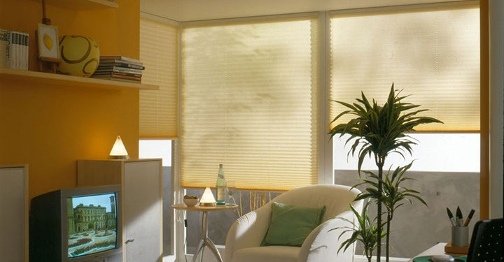 Beispielfoto Plissees